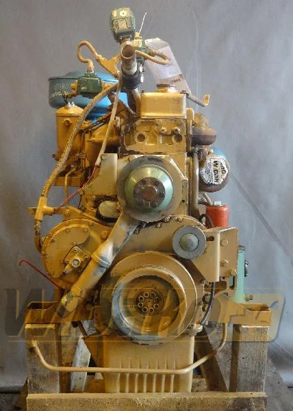 Man - المحرك - شاحنة: صور 5 Man - المحرك - شاحنة: صور 5