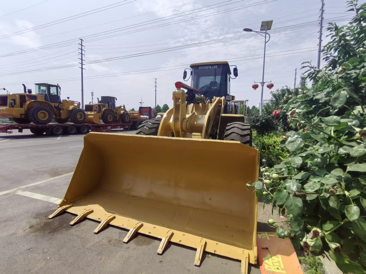 CATERPILLAR CAT950G for sale low hours [ Copy ] إيجار CATERPILLAR CAT950G for sale low hours [ Copy ]: صور 8