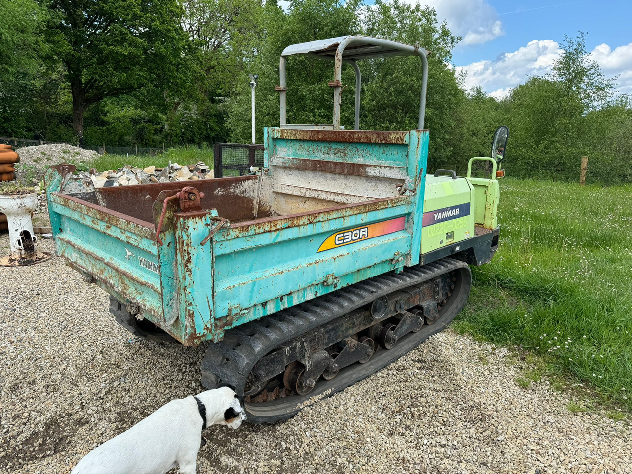 Yanmar C30R-2B - عربات نقل قلابة مجنزرة: صور 2 Yanmar C30R-2B - عربات نقل قلابة مجنزرة: صور 2