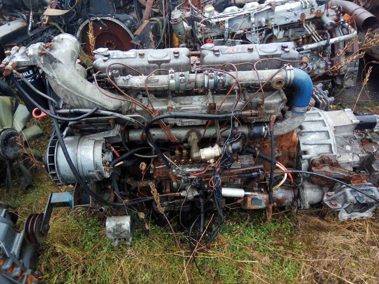 DAF ATI WS315M DAF 95 - المحرك - شاحنة: صور 1 DAF ATI WS315M DAF 95 - المحرك - شاحنة: صور 1