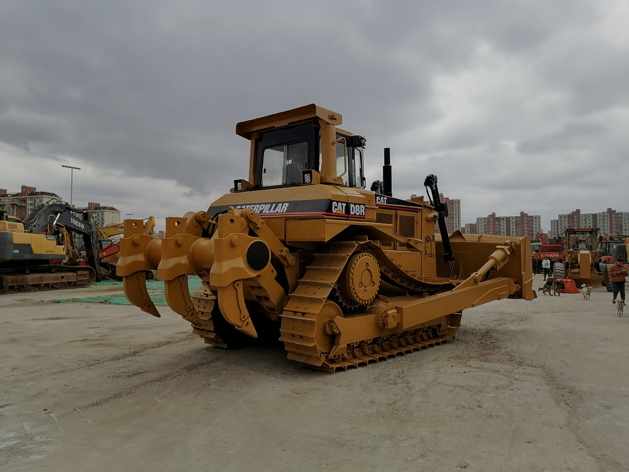 CATERPILLAR D8R - بلدوزر: صور 2 CATERPILLAR D8R - بلدوزر: صور 2