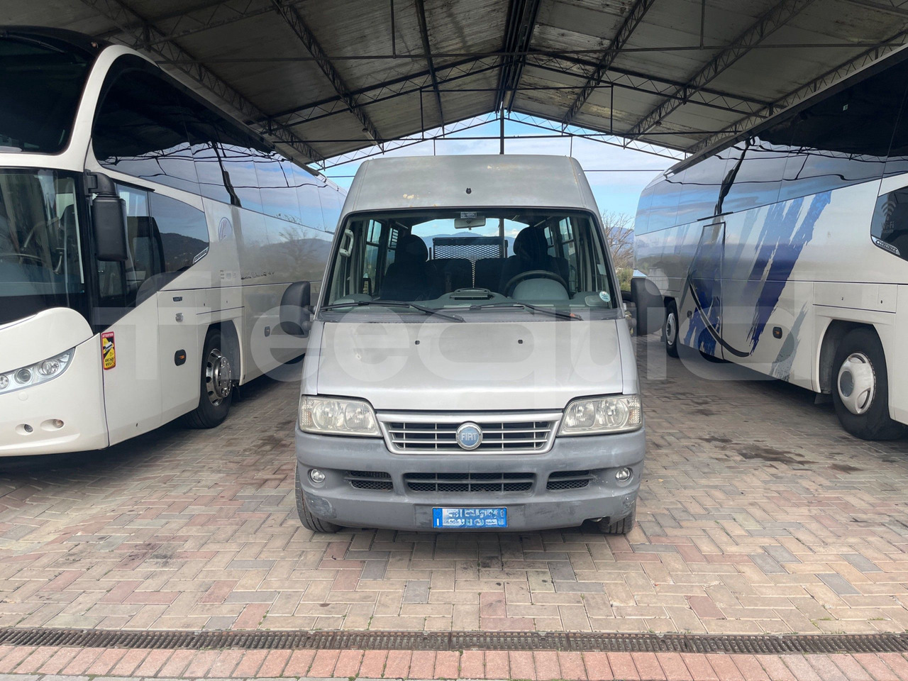 Fiat Ducato Maxi - سياحية حافلة: صور 2 Fiat Ducato Maxi - سياحية حافلة: صور 2