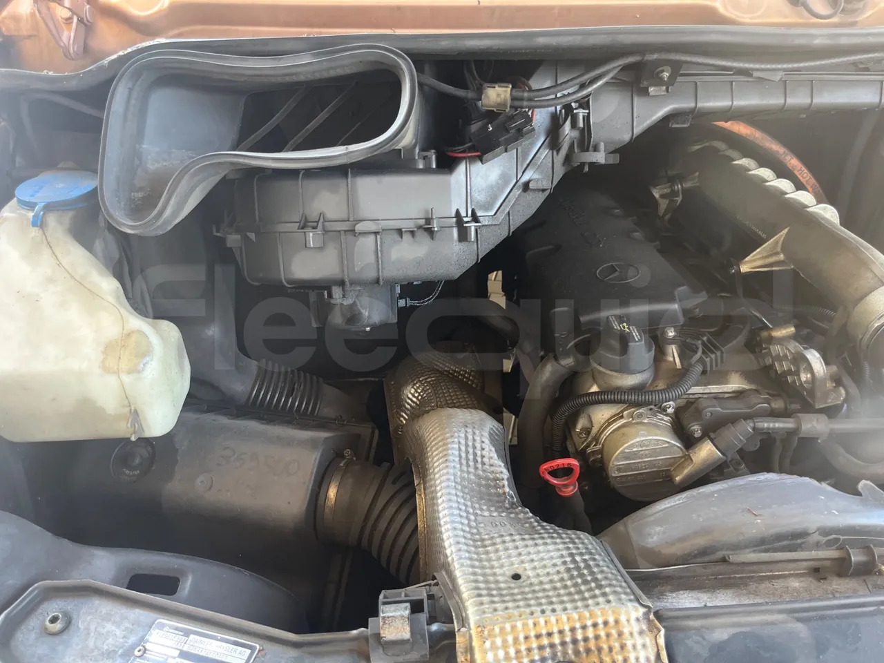 باص النقل بين المدن Mercedes-Benz Sprinter: صور 20