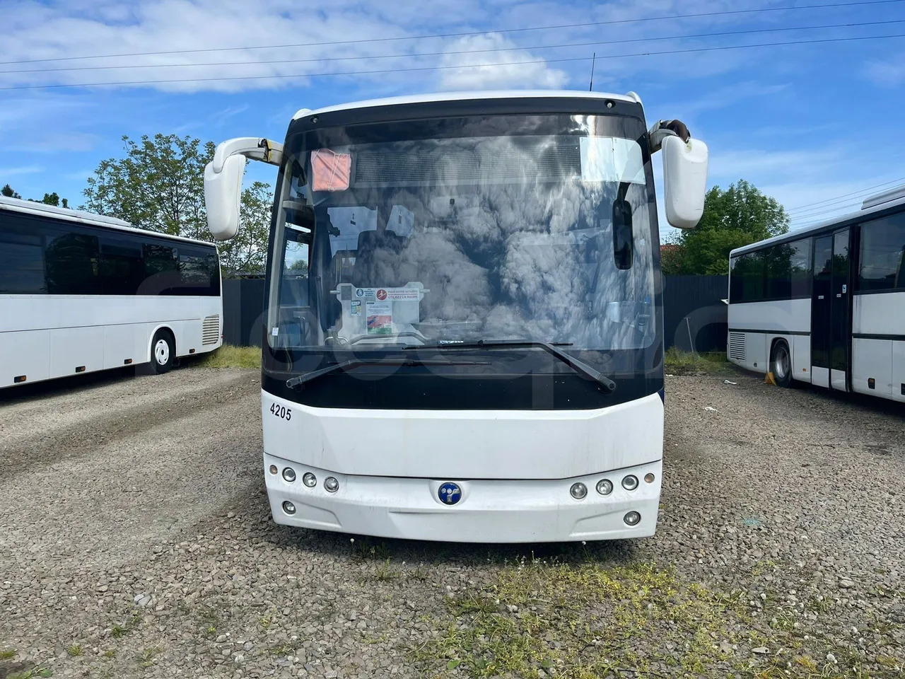 Temsa Safari - باص النقل بين المدن: صور 1 Temsa Safari - باص النقل بين المدن: صور 1