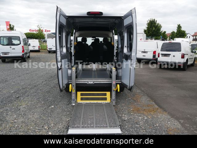 Opel Movano Rollstuhllift AMF Klima Navi Standheizung - ميكروباص, الشاحنات الصغيرة كابينة مزدوجة: صور 3 Opel Movano Rollstuhllift AMF Klima Navi Standheizung - ميكروباص, الشاحنات الصغيرة كابينة مزدوجة: صور 3
