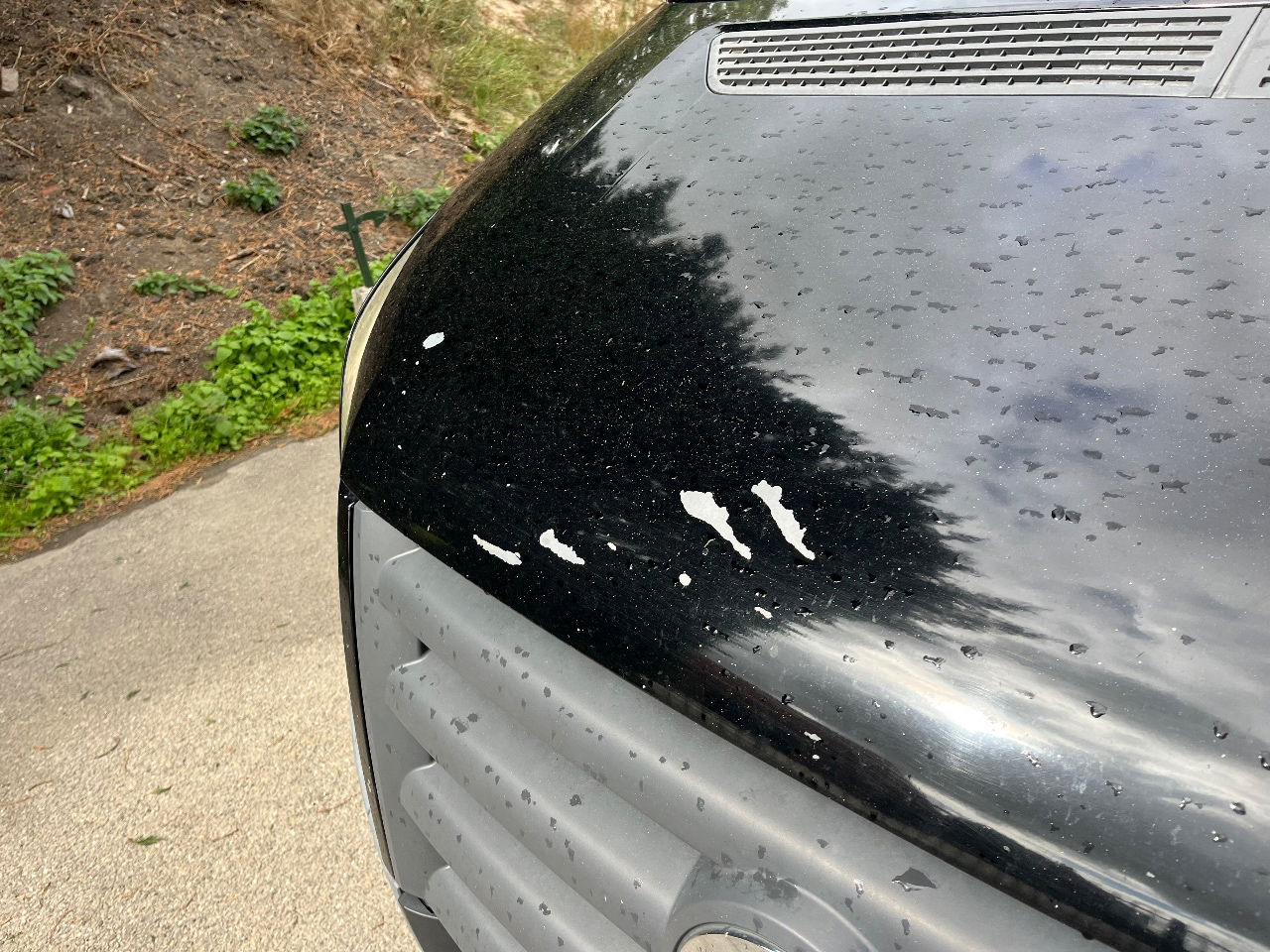 Volkswagen Crafter - فان: صور 5 Volkswagen Crafter - فان: صور 5