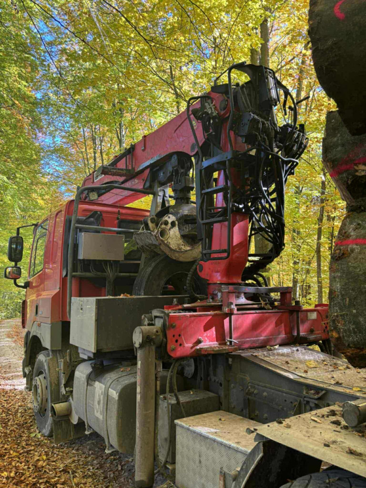 DAF CF510 - شاحنة قطع الأشجار, شاحنة كرين: صور 2 DAF CF510 - شاحنة قطع الأشجار, شاحنة كرين: صور 2