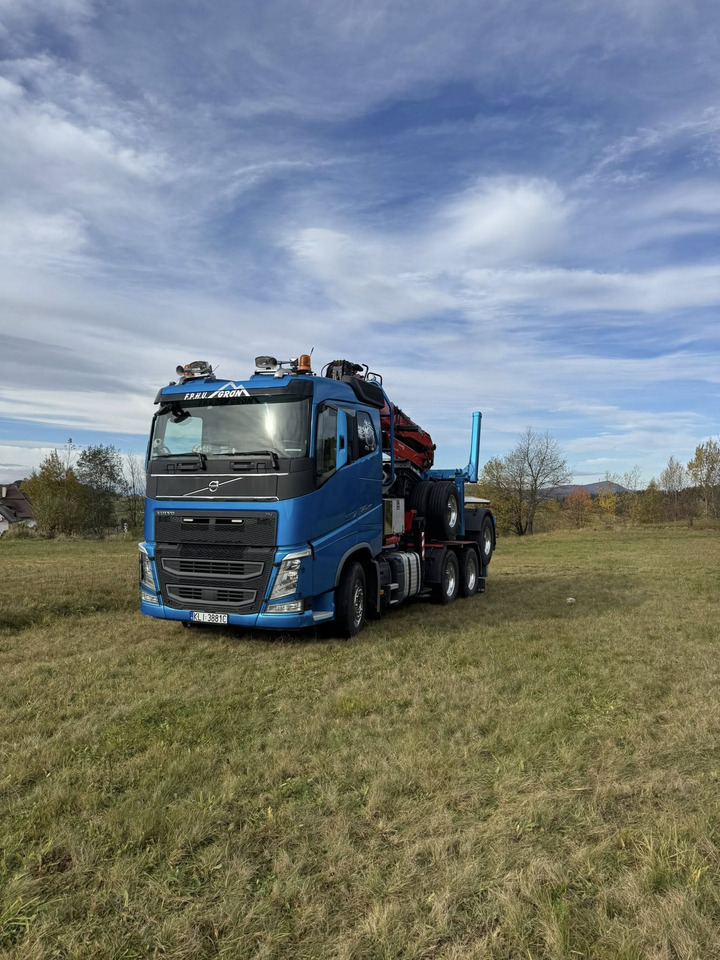 VOLVO FH540 - شاحنة قطع الأشجار, شاحنة كرين: صور 2 VOLVO FH540 - شاحنة قطع الأشجار, شاحنة كرين: صور 2