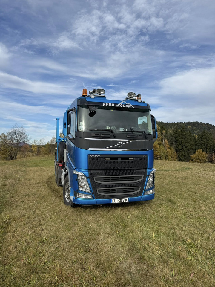 VOLVO FH540 - شاحنة قطع الأشجار, شاحنة كرين: صور 4 VOLVO FH540 - شاحنة قطع الأشجار, شاحنة كرين: صور 4