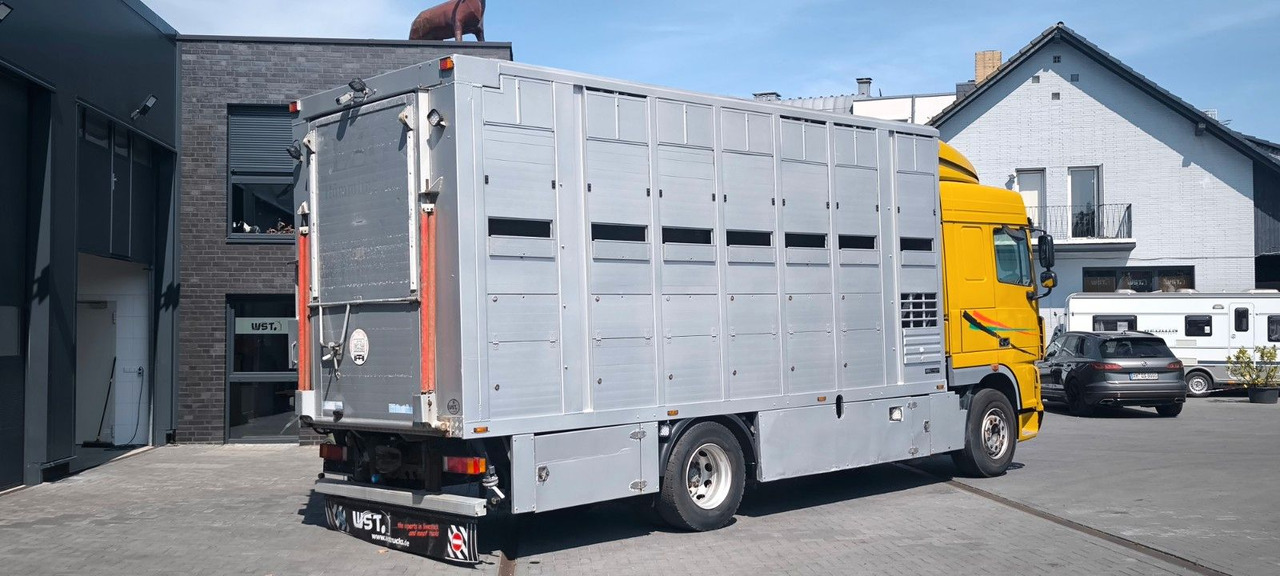 DAF XF 410 SC Menke Doppelstock - شاحنة نقل خيل: صور 3 DAF XF 410 SC Menke Doppelstock - شاحنة نقل خيل: صور 3