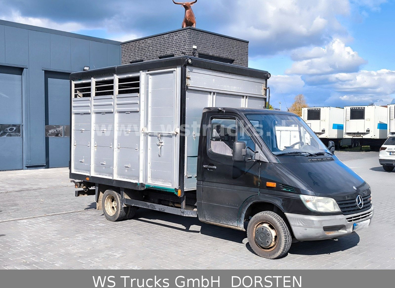 Mercedes-Benz Sprinter 411 CDI Viehtransporter - شاحنة نقل المواشي شاحنة: صور 2 Mercedes-Benz Sprinter 411 CDI Viehtransporter - شاحنة نقل المواشي شاحنة: صور 2