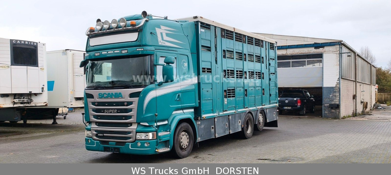 Scania R 490 Topline Menke 4 Stock Hubdach | Retader - شاحنة نقل خيل: صور 1 Scania R 490 Topline Menke 4 Stock Hubdach | Retader - شاحنة نقل خيل: صور 1