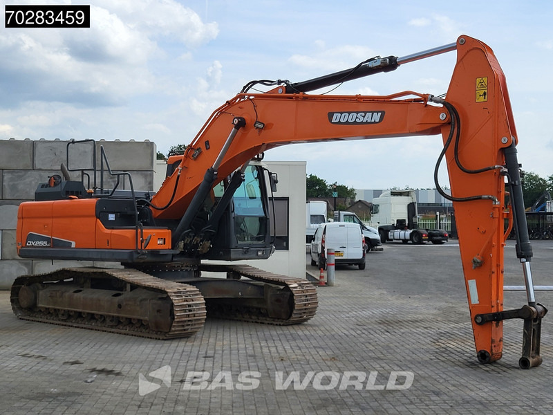 حفارات زحافة Doosan DX255 LC-5: صور 6
