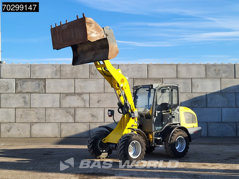WACKER NEUSON WL 44 - اللودر بعجل: صور 5 WACKER NEUSON WL 44 - اللودر بعجل: صور 5