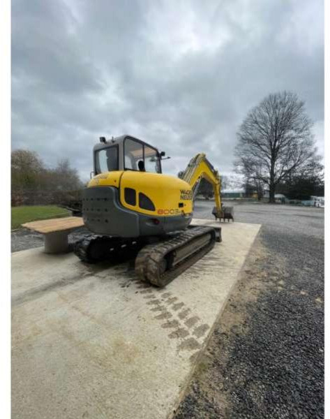 Wacker Neuson 8003 - حفارات زحافة: صور 1 Wacker Neuson 8003 - حفارات زحافة: صور 1
