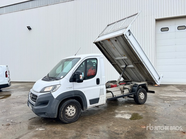 2015 Fiat Ducato Maxi 130 Multijet 4x2 Camion Benne Dump Truck: Light Duty - قلابات: صور 2 2015 Fiat Ducato Maxi 130 Multijet 4x2 Camion Benne Dump Truck: Light Duty - قلابات: صور 2