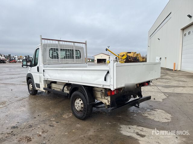 2015 Fiat Ducato Maxi 130 Multijet 4x2 Camion Benne Dump Truck: Light Duty - قلابات: صور 3 2015 Fiat Ducato Maxi 130 Multijet 4x2 Camion Benne Dump Truck: Light Duty - قلابات: صور 3