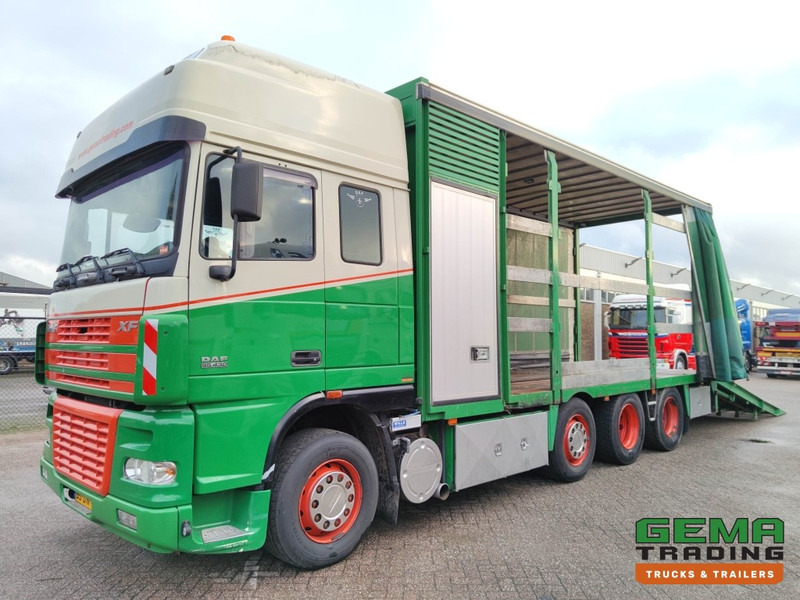 DAF FAK XF95.430 8x2 Super spacecab Euro3 - CurtainSider 7.31m + Ramp 16T - MachineTransporter - 6 Persons (V558) - شاحنة نقل سيارات شاحنة: صور 1 DAF FAK XF95.430 8x2 Super spacecab Euro3 - CurtainSider 7.31m + Ramp 16T - MachineTransporter - 6 Persons (V558) - شاحنة نقل سيارات شاحنة: صور 1