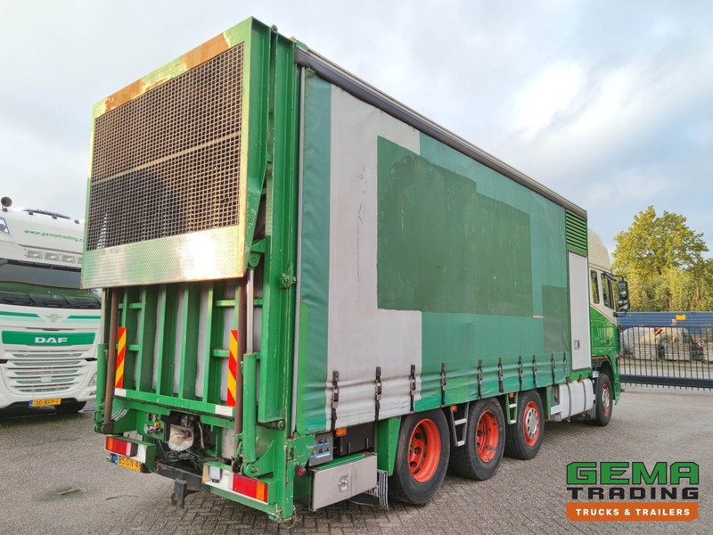 DAF FAK XF95.430 8x2 Super spacecab Euro3 - CurtainSider 7.31m + Ramp 16T - MachineTransporter - 6 Persons (V558) - شاحنة نقل سيارات شاحنة: صور 4 DAF FAK XF95.430 8x2 Super spacecab Euro3 - CurtainSider 7.31m + Ramp 16T - MachineTransporter - 6 Persons (V558) - شاحنة نقل سيارات شاحنة: صور 4