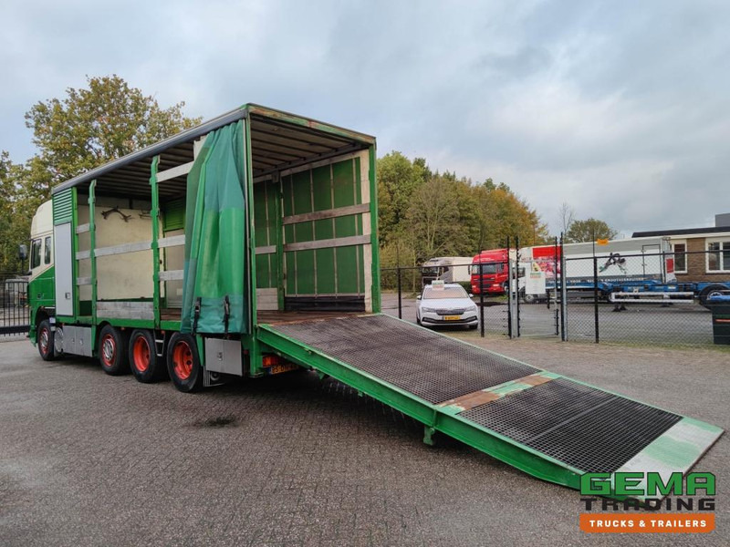 DAF FAK XF95.430 8x2 SuperSpaceCab Euro3 - CurtainSider 7.31m + Ramp 16T - MachineTransporter - 6 Persons (V558) - شاحنة نقل سيارات شاحنة: صور 2 DAF FAK XF95.430 8x2 SuperSpaceCab Euro3 - CurtainSider 7.31m + Ramp 16T - MachineTransporter - 6 Persons (V558) - شاحنة نقل سيارات شاحنة: صور 2