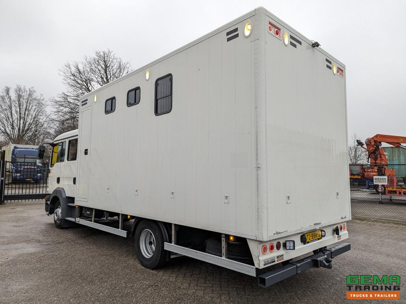 MAN TGL 12.180 4x2 DoKa 7 pers. Euro5 EEV - Paardenwagen 2-Paards - 147.000km! - MARGE - شاحنة نقل خيل: صور 4 MAN TGL 12.180 4x2 DoKa 7 pers. Euro5 EEV - Paardenwagen 2-Paards - 147.000km! - MARGE - شاحنة نقل خيل: صور 4
