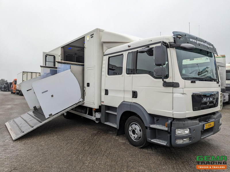 MAN TGL 12.180 4x2 DoKa 7 pers. Euro5 EEV - Paardenwagen 2-Paards - 147.000km! - MARGE - شاحنة نقل خيل: صور 1 MAN TGL 12.180 4x2 DoKa 7 pers. Euro5 EEV - Paardenwagen 2-Paards - 147.000km! - MARGE - شاحنة نقل خيل: صور 1
