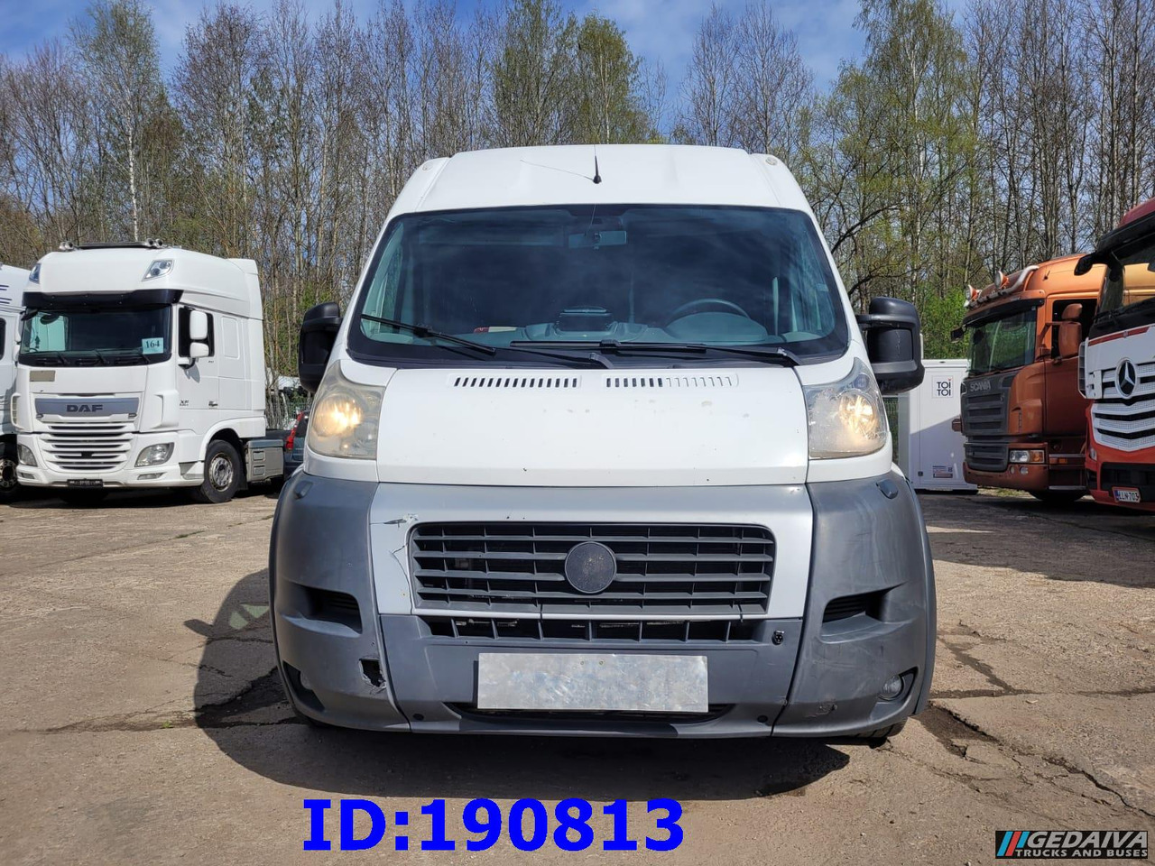 FIAT Ducato - VIP - 17 Seater - سياحية حافلة: صور 2 FIAT Ducato - VIP - 17 Seater - سياحية حافلة: صور 2