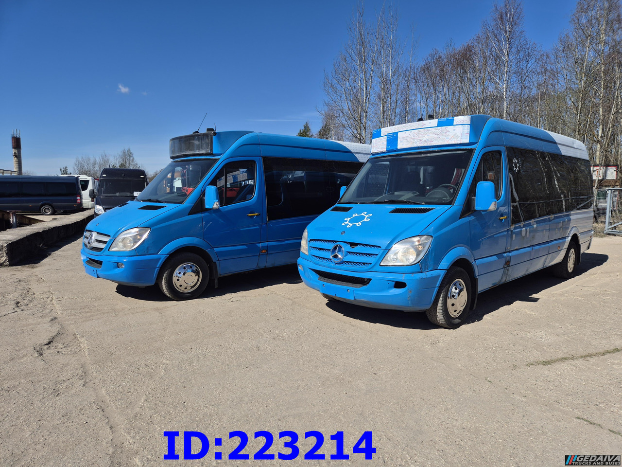 MERCEDES-BENZ Sprinter 316 VIP Euro5 (2pcs. available) - حافلة صغيرة, ميكروباص: صور 1 MERCEDES-BENZ Sprinter 316 VIP Euro5 (2pcs. available) - حافلة صغيرة, ميكروباص: صور 1