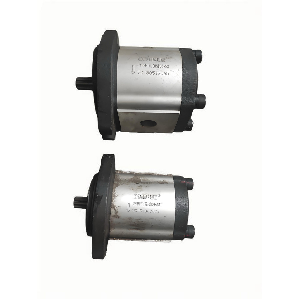 OCEANUS Gear Pump for China Wheel Loader - مضخة هيدروليكية - اللودر بعجل: صور 1 OCEANUS Gear Pump for China Wheel Loader - مضخة هيدروليكية - اللودر بعجل: صور 1