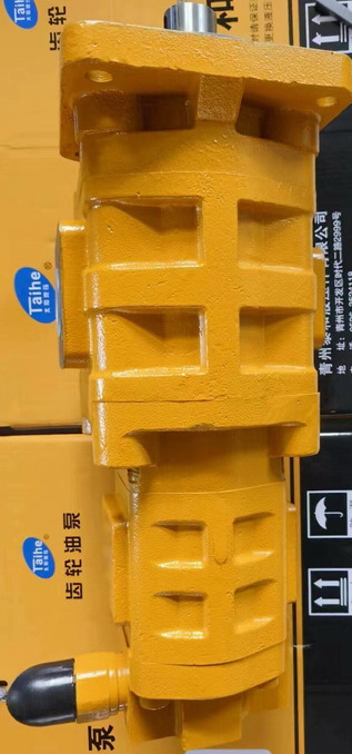 Qingdao Promising Hydraulic Double Gear Pumps Fit China Loader - مضخة هيدروليكية - اللودر بعجل: صور 4 Qingdao Promising Hydraulic Double Gear Pumps Fit China Loader - مضخة هيدروليكية - اللودر بعجل: صور 4
