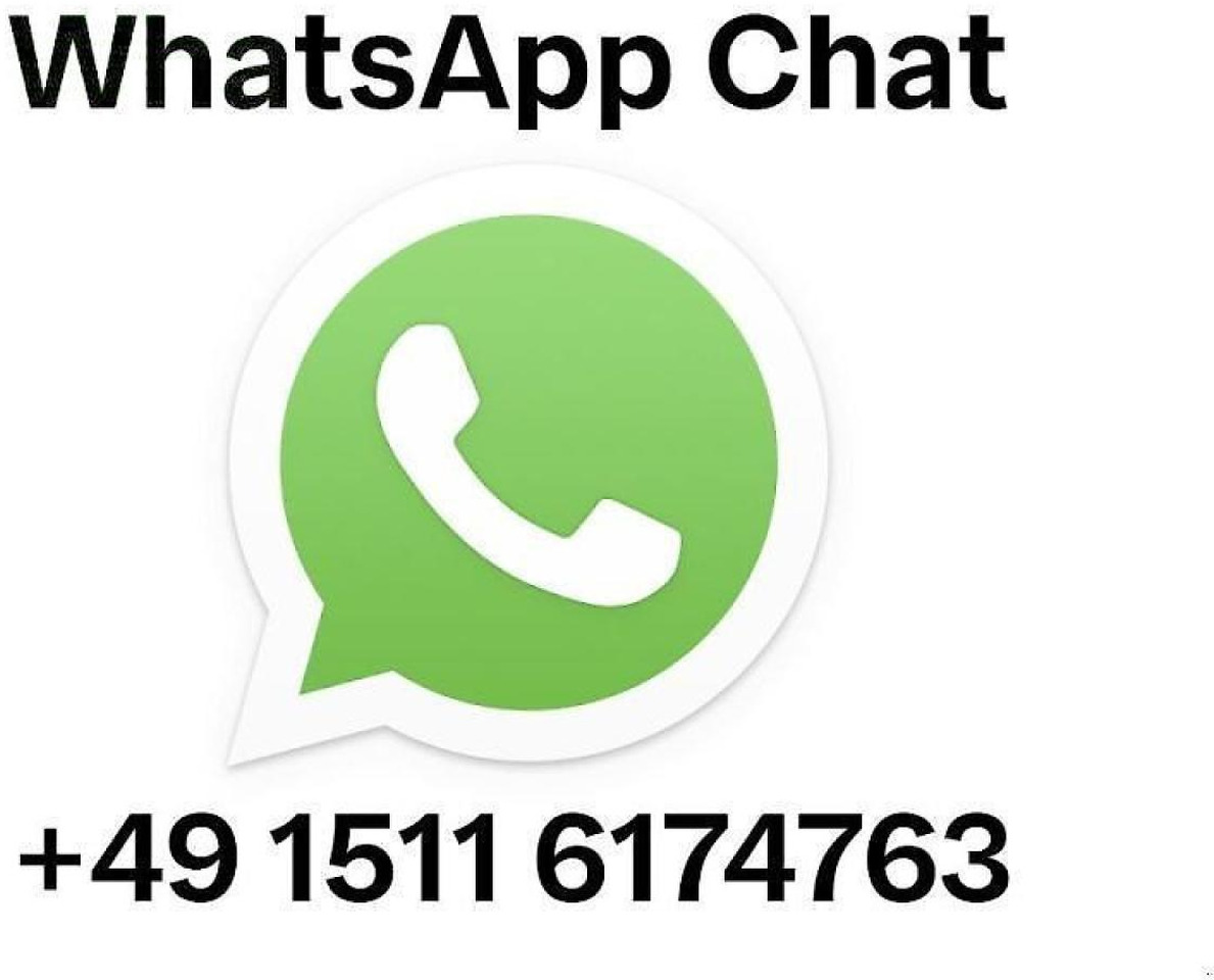 Massey Ferguson 8s.305 dyna-vt exclusive Exclusive - جرار: صور 2 Massey Ferguson 8s.305 dyna-vt exclusive Exclusive - جرار: صور 2