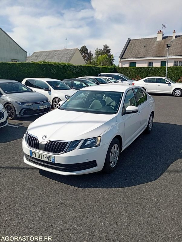 EV-011-NS - Roulant - SKODA OCTAVIA - VP - 389 000 Kms - سيارة: صور 2 EV-011-NS - Roulant - SKODA OCTAVIA - VP - 389 000 Kms - سيارة: صور 2
