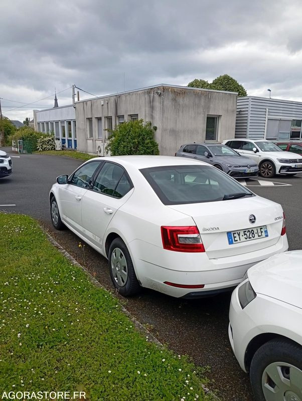 EY-528-LF - Roulant - SKODA OCTAVIA - VP - 421 000 Kms - سيارة: صور 3 EY-528-LF - Roulant - SKODA OCTAVIA - VP - 421 000 Kms - سيارة: صور 3