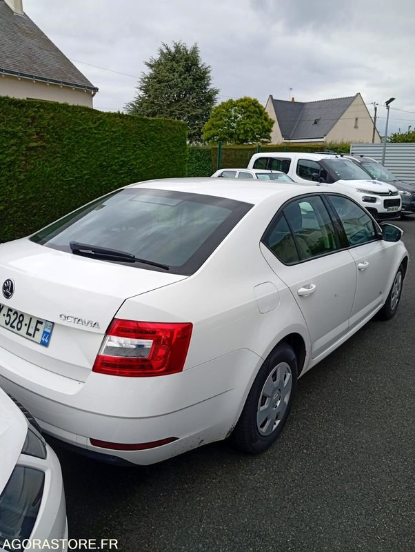 EY-528-LF - Roulant - SKODA OCTAVIA - VP - 421 000 Kms - سيارة: صور 4 EY-528-LF - Roulant - SKODA OCTAVIA - VP - 421 000 Kms - سيارة: صور 4