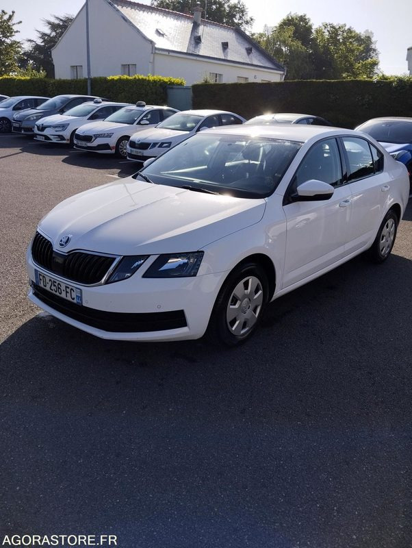 FD-256-FC - Roulant - SKODA OCTAVIA - VP - 417 000 Kms - سيارة: صور 2 FD-256-FC - Roulant - SKODA OCTAVIA - VP - 417 000 Kms - سيارة: صور 2