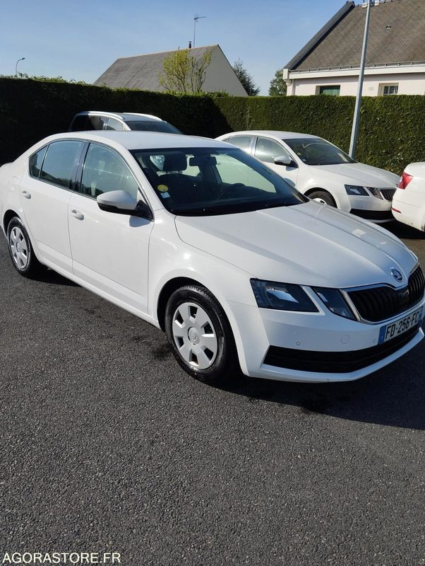 FD-256-FC - Roulant - SKODA OCTAVIA - VP - 417 000 Kms - سيارة: صور 1 FD-256-FC - Roulant - SKODA OCTAVIA - VP - 417 000 Kms - سيارة: صور 1
