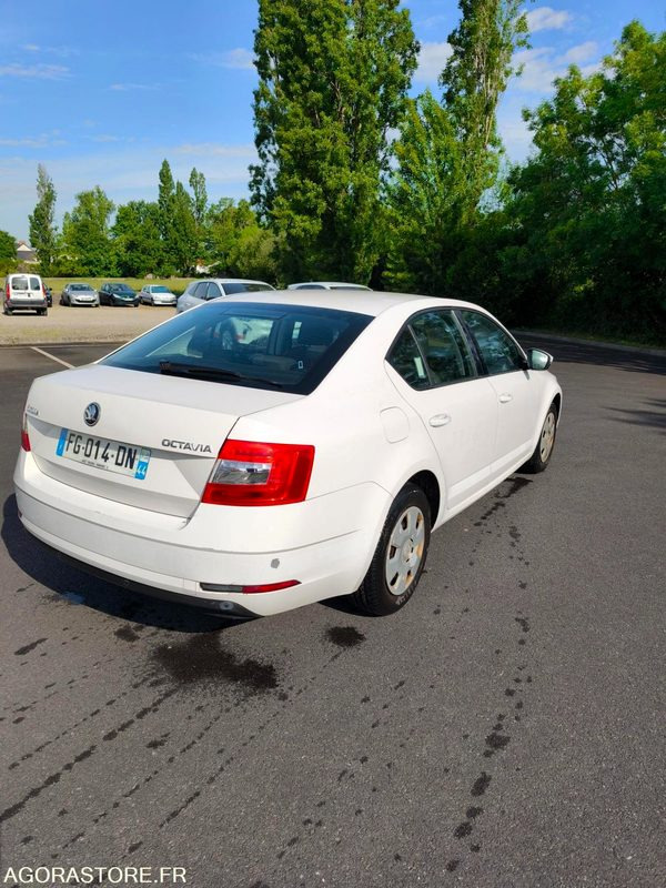 FG-014-DN - Roulant - SKODA OCTAVIA - VP - 354 084 Kms - سيارة: صور 4 FG-014-DN - Roulant - SKODA OCTAVIA - VP - 354 084 Kms - سيارة: صور 4
