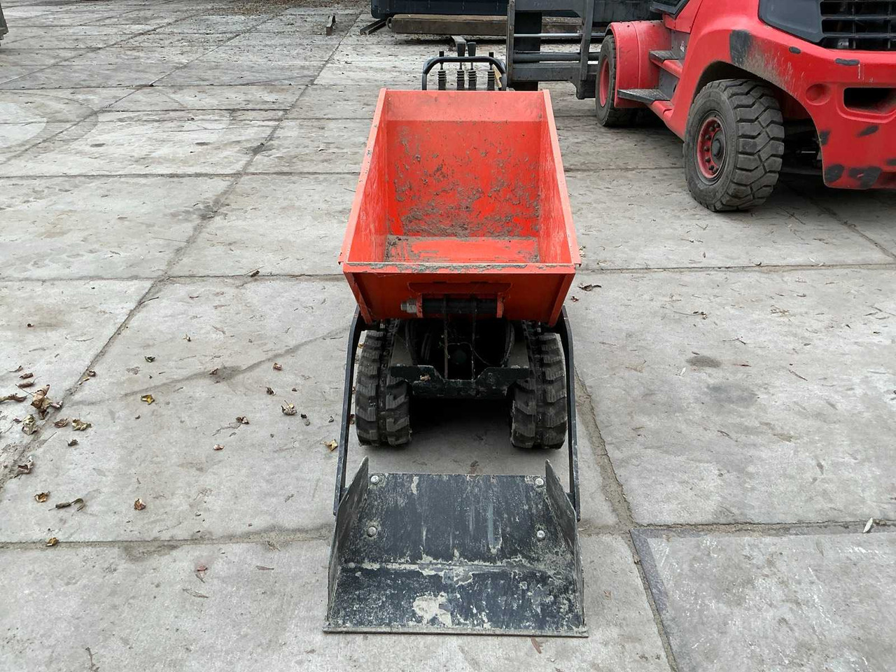 2020 PLUS POWER T50FL DUMPER - شاحنة قلابة صغيرة: صور 2 2020 PLUS POWER T50FL DUMPER - شاحنة قلابة صغيرة: صور 2