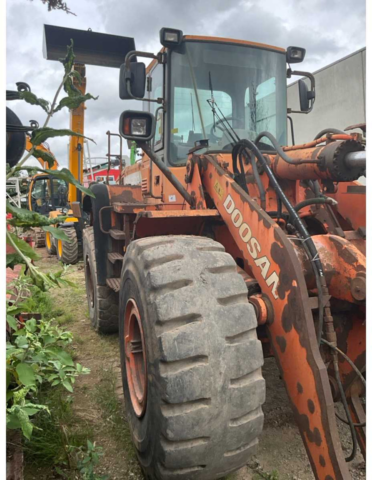 DOOSAN DL300 - اللودر بعجل: صور 3 DOOSAN DL300 - اللودر بعجل: صور 3