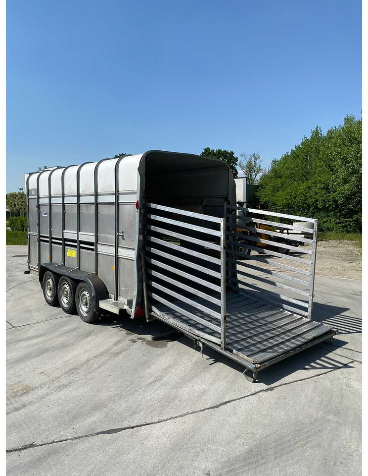 شاحنة نقل المواشي مقطورة Ifor Williams Trailers TA510G14/3 7' DECKS: صور 7