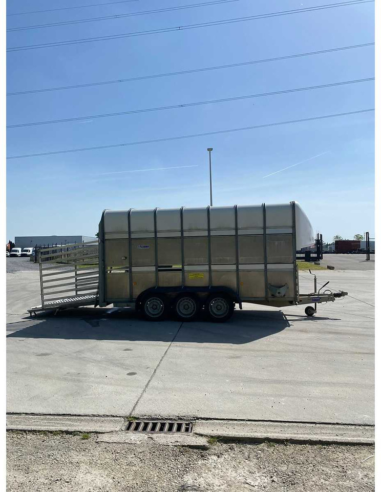 شاحنة نقل المواشي مقطورة Ifor Williams Trailers TA510G14/3 7' DECKS: صور 11