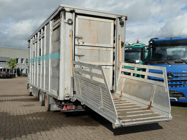 Bannas AT 24.83, 3 Etagen, Schweine, Liftachse - شاحنة نقل المواشي مقطورة: صور 5 Bannas AT 24.83, 3 Etagen, Schweine, Liftachse - شاحنة نقل المواشي مقطورة: صور 5