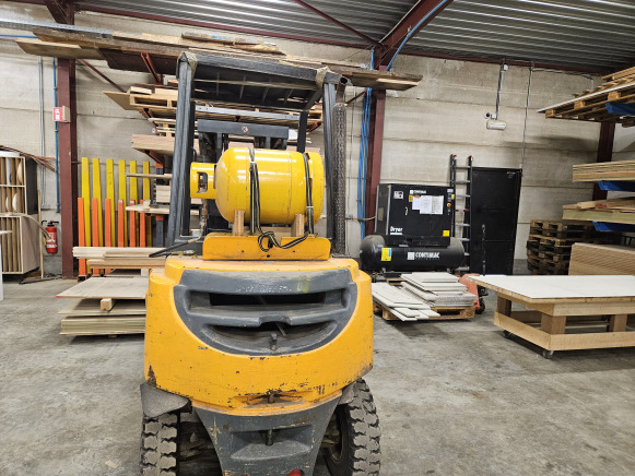 Chariot élévateur frontal au gaz Jungheirich TFG 25BK - رافعة شوكية تعمل بالغاز: صور 2 Chariot élévateur frontal au gaz Jungheirich TFG 25BK - رافعة شوكية تعمل بالغاز: صور 2