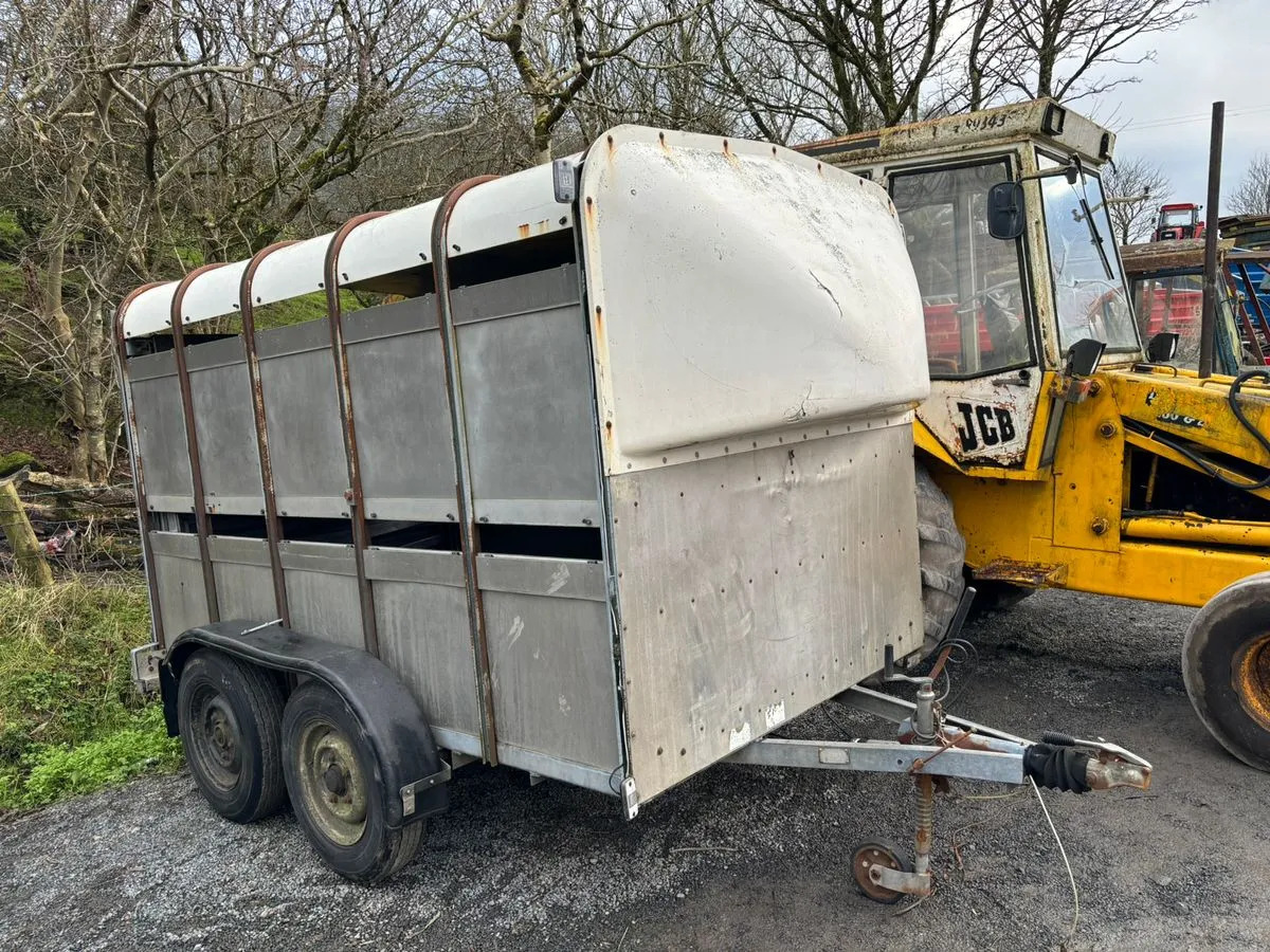 10X6 Ivor Williams - شاحنة نقل المواشي مقطورة: صور 1 10X6 Ivor Williams - شاحنة نقل المواشي مقطورة: صور 1