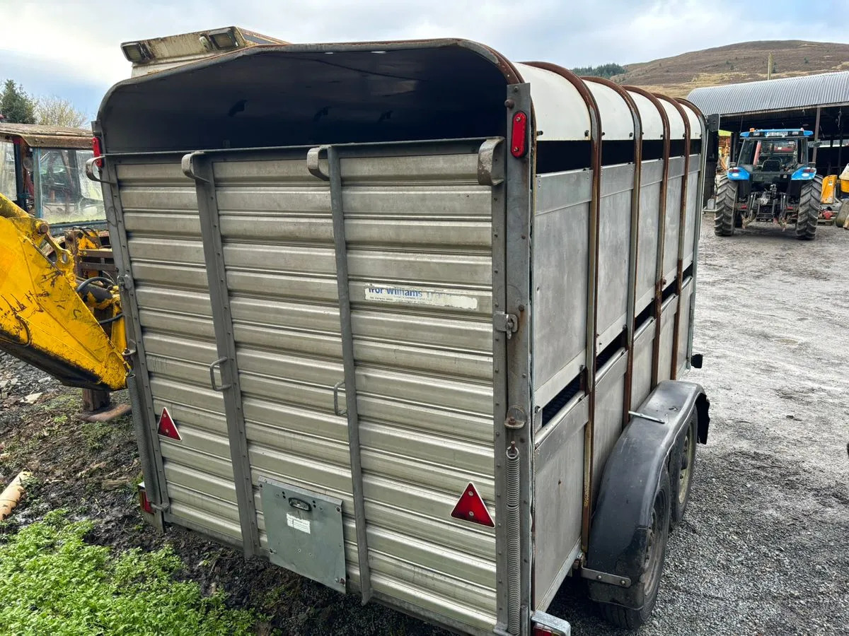 10X6 Ivor Williams - شاحنة نقل المواشي مقطورة: صور 5 10X6 Ivor Williams - شاحنة نقل المواشي مقطورة: صور 5