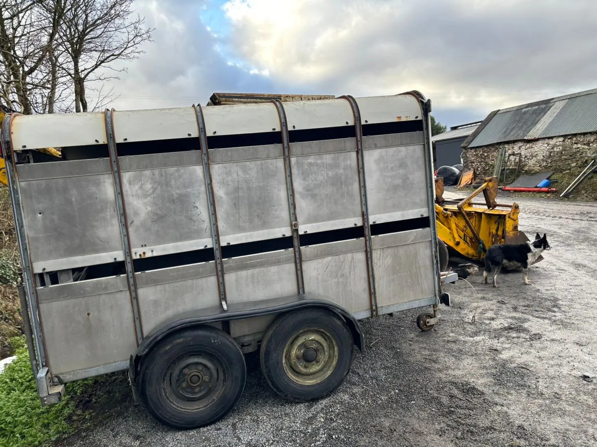 10X6 Ivor Williams - شاحنة نقل المواشي مقطورة: صور 4 10X6 Ivor Williams - شاحنة نقل المواشي مقطورة: صور 4