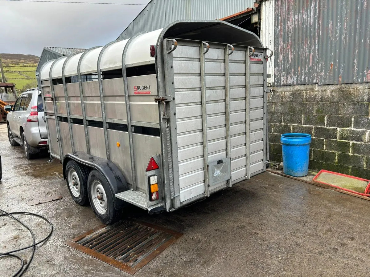 12X6 Nugent Livestock Trailer - شاحنة نقل المواشي مقطورة: صور 3 12X6 Nugent Livestock Trailer - شاحنة نقل المواشي مقطورة: صور 3