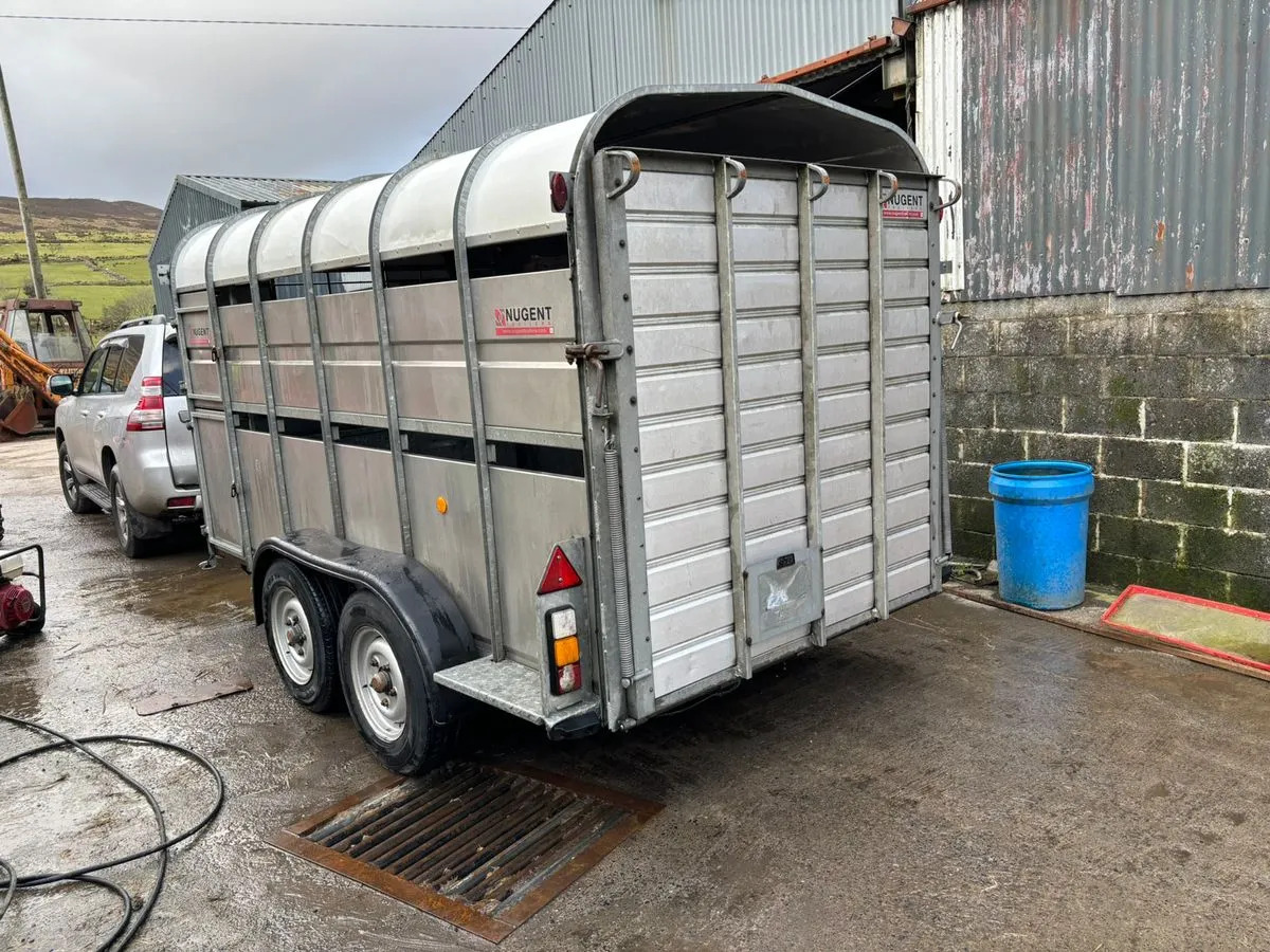 12X6 Nugent Livestock Trailer - شاحنة نقل المواشي مقطورة: صور 4 12X6 Nugent Livestock Trailer - شاحنة نقل المواشي مقطورة: صور 4