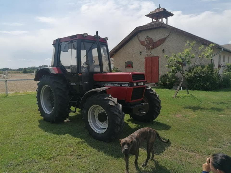 Case IH 856 XL - جرار: صور 4 Case IH 856 XL - جرار: صور 4