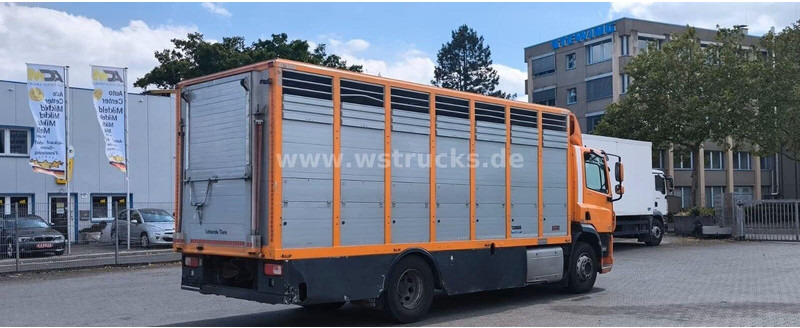 DAF CF 400 - Animal transporter - شاحنة نقل المواشي شاحنة: صور 4 DAF CF 400 - Animal transporter - شاحنة نقل المواشي شاحنة: صور 4
